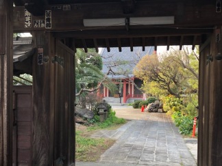 Peeking through the main gate at Tokoji Temple on our way.
