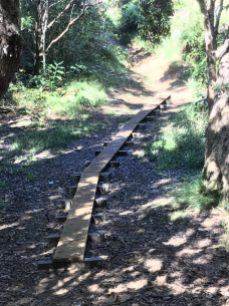Plank pathway over intermittent stream
